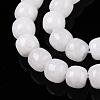 Dyed Natural White Jade Beads Strands G-T138-S01-3