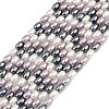 Electroplated Shell Pearl Beads Strands BSHE-H113-06B-04-1