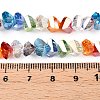 Transparent Glass Beads Strands GLAA-T023-A18-01-4