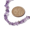 Natural Amethyst Chip Beaded Necklace NJEW-JN04615-06-3