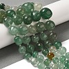 Natural Green Strawberry Quartz Beads Strands G-Q169-E06-01A-2