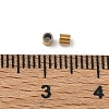 304 Stainless Steel Beads STAS-P448-01C-G-3