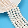 Natural Cultured Freshwater Pearl Beads Strands PEAR-I007-07J-06B-1