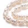Natural Cultured Freshwater Pearl Beads Strands PEAR-J005-60-2