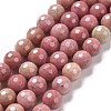 Natural Rhodonite Beads Strands G-E571-01B-1