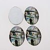 Photo Glass Oval Cabochons X-GGLA-N003-18x25-F04-2