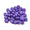 Sealing Wax Particles DIY-E033-A19-1