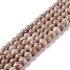 Natural Maifanite/Maifan Stone Beads Strands G-P451-01B-B-1