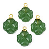 Glass Charms GLAA-N036-02A-2