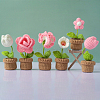 DIY Pot Flower Display Doll Decoration Crochet Kit SENE-PW0003-081E-1