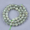 Natural Prehnite Beads Strands G-S333-8mm-032-2