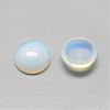 Opalite Cabochons G-R416-14mm-49-2