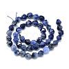 Natural Sodalite Beads Strands G-S149-21-6mm-2