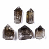 Natural Smoky Quartz Beads G-S359-216-1