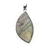 Natural Labradorite Teardrop Pendants G-L350-03-5