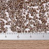 MIYUKI Delica Beads SEED-X0054-DB1732-4