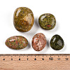 Natural Unakite No Hole Beads G-S218-08-01-3