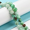Natural Chrysoprase Beads Strands G-P503-8MM-03-2
