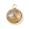 Handmade Natural Mixed Gemstone Pendants PALLOY-JF00791-2