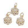 Brass Micro Pave Cubic Zirconia Charms KK-K244-07G-1