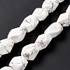 Natural Howlite Beads Strands G-L235A-14-6