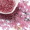 Glass Seed Beads SEED-H002-C-A042-1