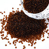 15/0 Transparent Czech Glass Seed Beads SEED-N004-004-18-1