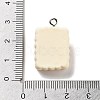 Cookies Theme Imitation Food Resin Pendants X-RESI-B021-02C-05-3