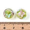 Handmade Lampwork Beads Strands LAMP-T007-04L-3