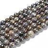 Natural Labradorite Beads Strands G-G723-01C-1