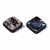 Natural Abalone Shell/Paua Shell Beads SSHEL-T014-13A-2