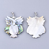 Shell Pendants SHEL-S275-65-2