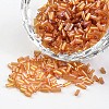 Glass Seed Beads SEED-I001-162B-1