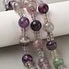 Natural Fluorite 3-Hole Guru Beads Strands G-H064-E10-01-5
