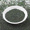 MIYUKI Round Rocailles Beads SEED-X0054-RR0465-2