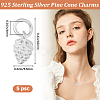 5Pcs 925 Sterling Silver Charms STER-BBC0002-23-2