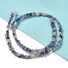 Natural Blue Spot Jasper Beads Strands G-G085-B41-02-2