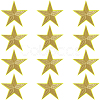 12Pcs Star Shape Cloth Embroidery Applqiues PATC-GF0001-33B-1