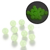 Luminous Acrylic Round Beads LACR-R002-6mm-01-1