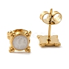 Ion Plating(IP) 304 Stainless Steel Square Stud Earrings EJEW-C114-01G-1