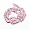 Natural Kunzite Chip Beads Strands X-G-E271-79-2