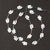 Natural White Shell Mother of Pearl Shell Beads BSHE-B005-11-1