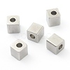 Non-Tarnish 304 Stainless Steel Beads STAS-H160-01C-P-1