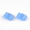 2-Hole Glass Seed Beads SEED-T003-02B-03-2