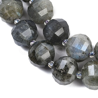 Natural Labradorite Beads Strands G-G182-B02-07-1