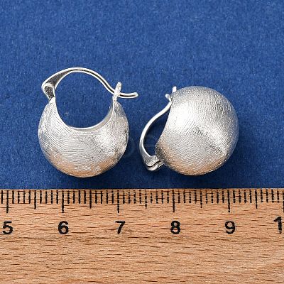 Brass Bag Hoop Earrings EJEW-A143-01B-S-1