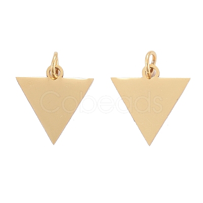 Ion Plating(IP) 304 Stainless Steel Pendants STAS-I311-22G-1