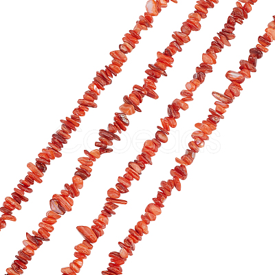 Natural Freshwater Shell Beads Strands BSHE-WH0006-05C-1