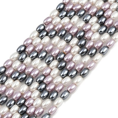 Electroplated Shell Pearl Beads Strands BSHE-H113-06B-04-1