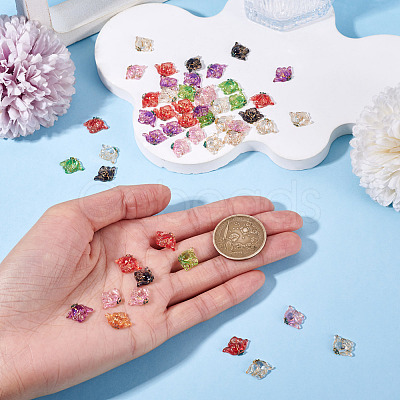 50Pcs Translucent Resin Cabochons RESI-TA0005-66-1